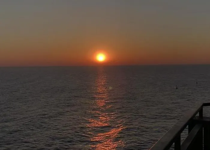 Movida אכסניה *